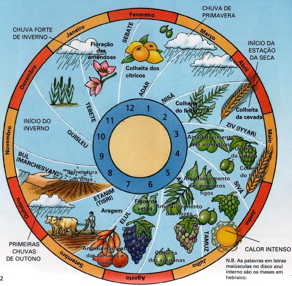 Calendário Agrícola Anual - Semear & Plantar