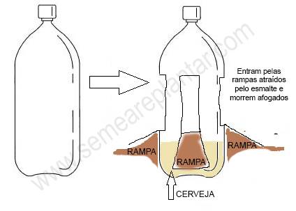 armadilha caracois