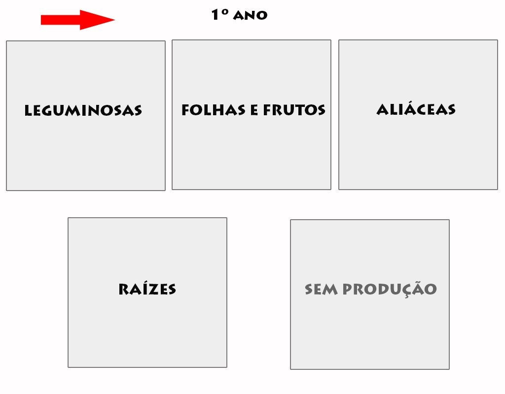 sem-titulo-1